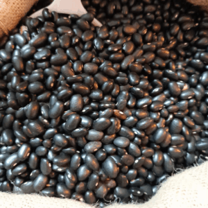 Alubia negrita ó frijoles negros