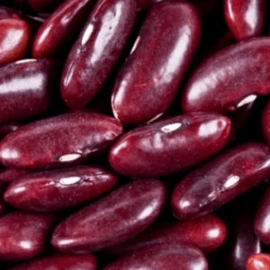 Alubia roja o morada