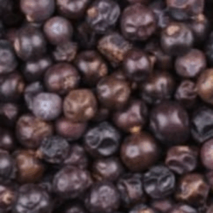 Bayas de enebro