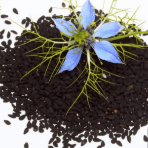 Comino negro