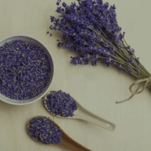 Lavanda