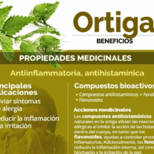 Ortiga verde hoja cortada