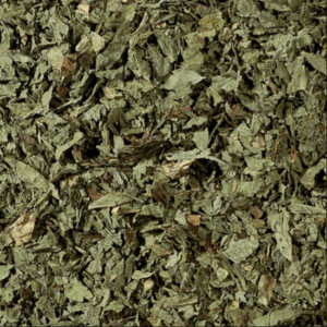 Poleo menta