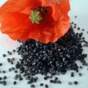 Semillas de amapola