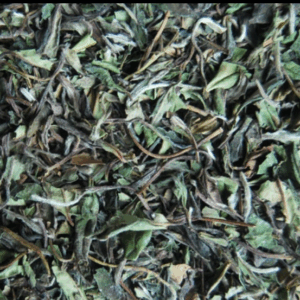 Té blanco pai mu tan (bio)