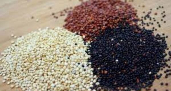 Quinoa mezcla roja, negra y blanca